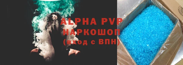 индика Баксан