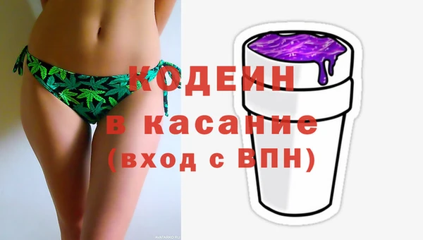 индика Баксан