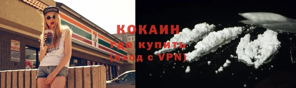 индика Баксан