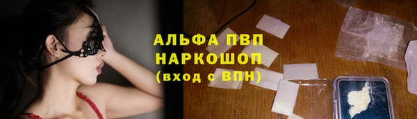 индика Баксан