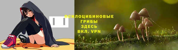 индика Баксан