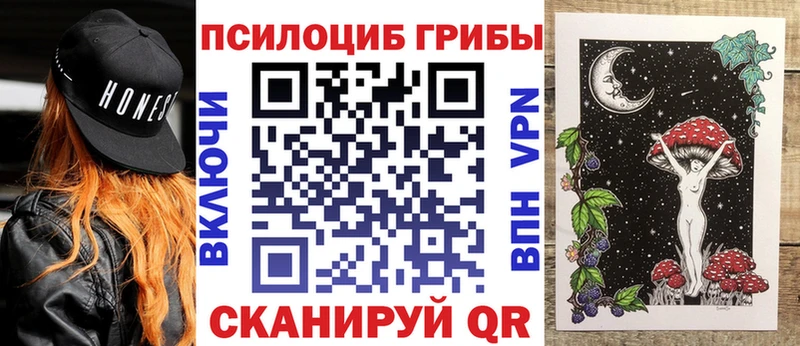 Псилоцибиновые грибы Psilocybe  Армавир 